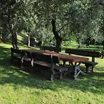 Kormorano * 말세진느
