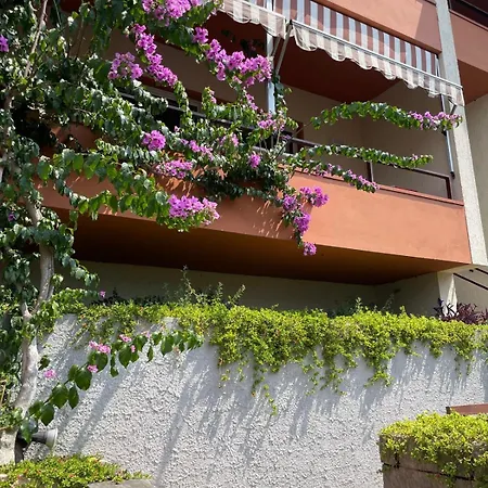 Kormorano Malcesine