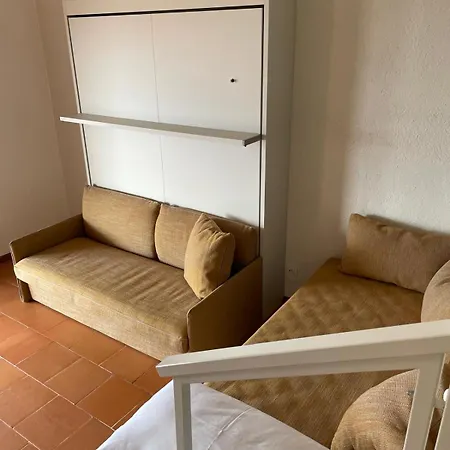 Kormorano * Malcesine