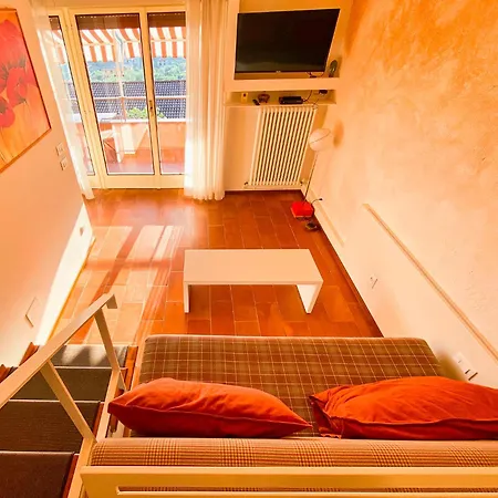 Kormorano * Malcesine