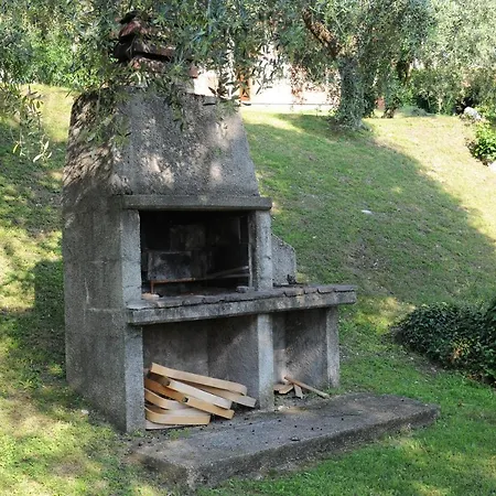 Kormorano *