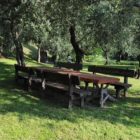 Kormorano * Malcesine