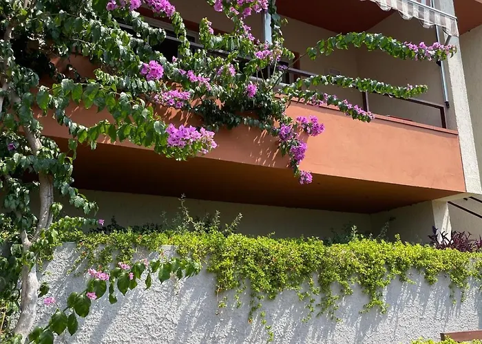 Kormorano Malcesine
